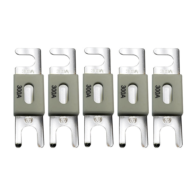 Victron ANLFuse 300A80V f48V Products Package of 5 CIP143300020